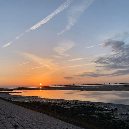 Vakantiewoning De Bosrand Aan Zee Sint-Annaland Eksteriør bilde