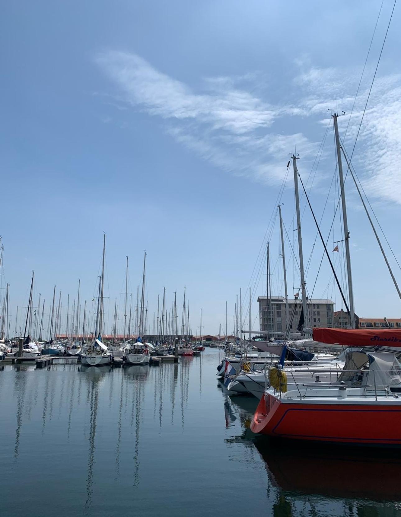 Vakantiewoning De Bosrand Aan Zee Sint-Annaland Eksteriør bilde